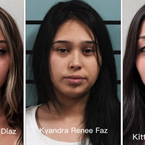 Smirking suspects mugshots